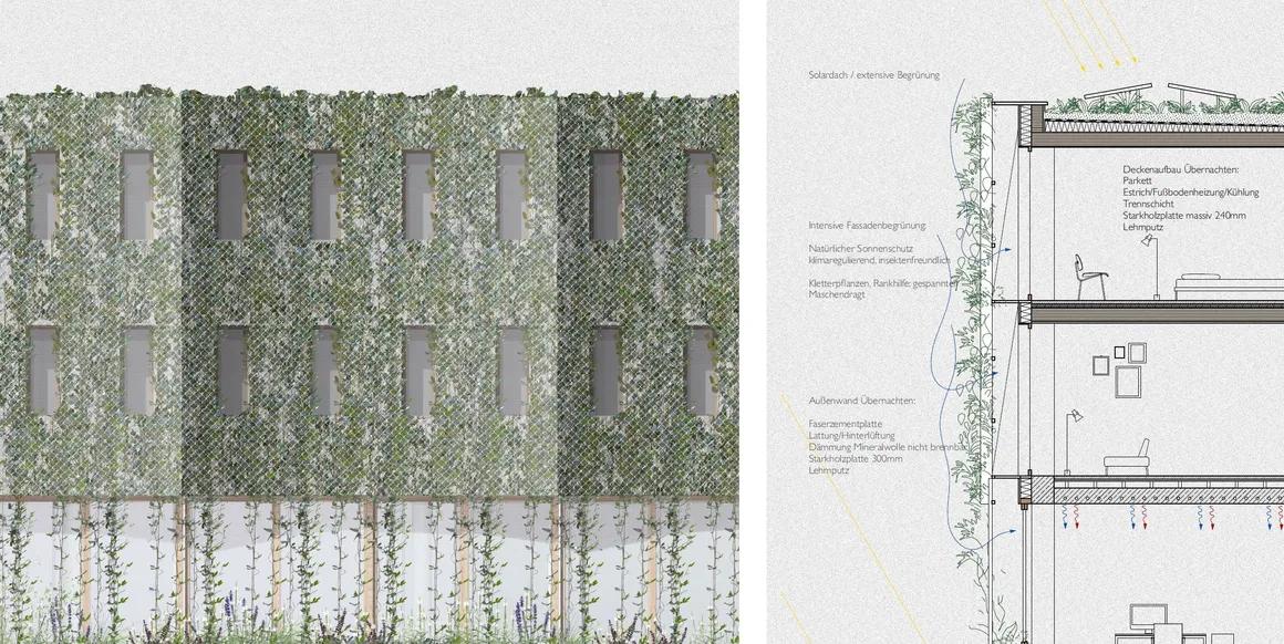 Dachbegrünung Detail 1:50